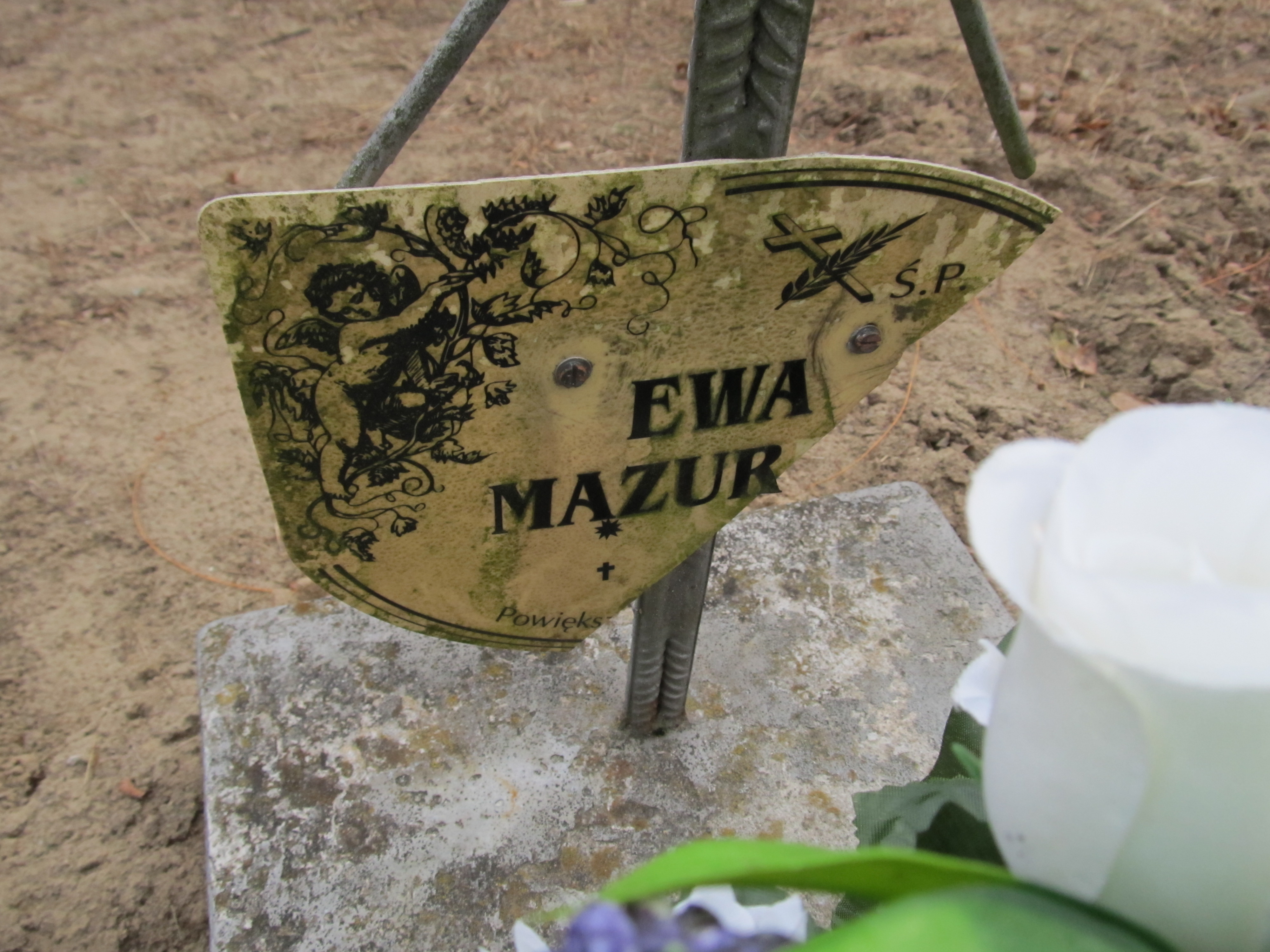 Ewa Mazur Luchów Górny - Grobonet - Wyszukiwarka osób pochowanych