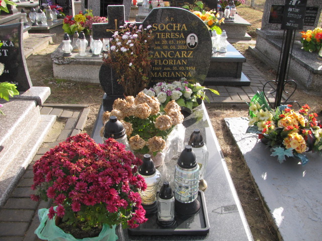 Grób Teresa Socha